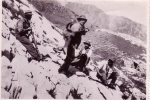 1934