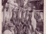 1946