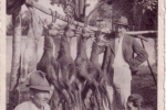 ouverture-de-la-chasse-1946
