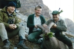 1988_bouquetin-dinnocent