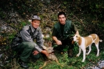 2004