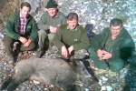 sanglier1-edm-roger-raoul-dominique