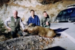 2004