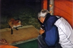 2006