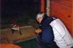 2006