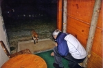 2006