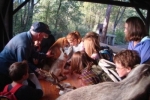 448_3_sortie_nature_primaire_oct_2012_chasse_18