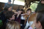 451_3_sortie_nature_primaire_oct_2012_chasse_15