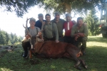 chasse-2013