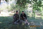 Chasse 2013