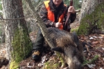 chasse du 10.01.2014