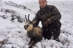 F.Roh 4 novembre tir d'un chamois Arolla