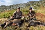 Chamois
