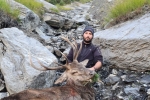 Cerf