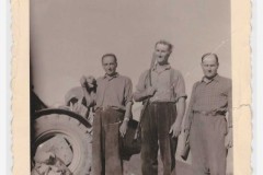 1955