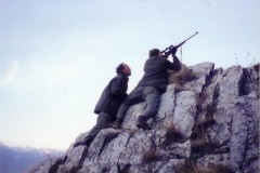 1994