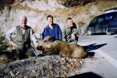 2004